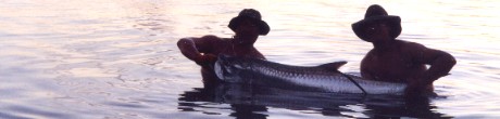 A nice tarpon caught and released with Captain Alex Regan