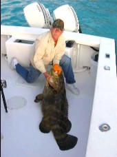 Goliath grouper caught while tarpon fishing