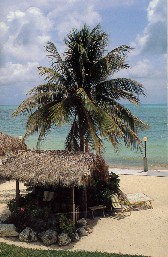 Relax in the Florida Keys